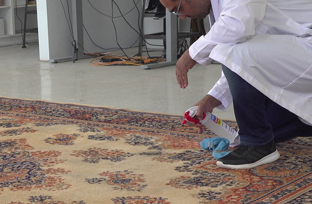 premium carpet cleaning services