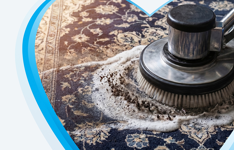carpet & rug cleaning Sarnia m