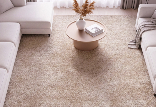 Wool Carpet Cleaning in Sarnia