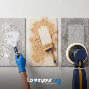Best Professional Carpet Cleaning Method