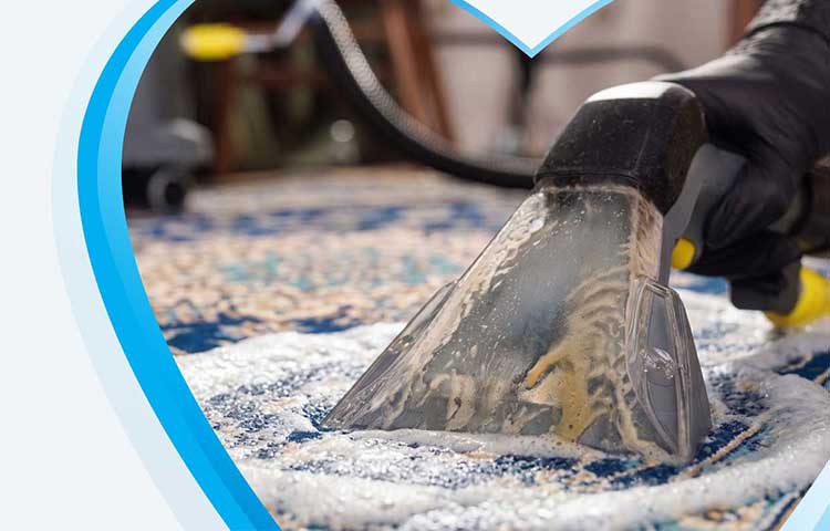 carpet & rug cleaning in Collingwood