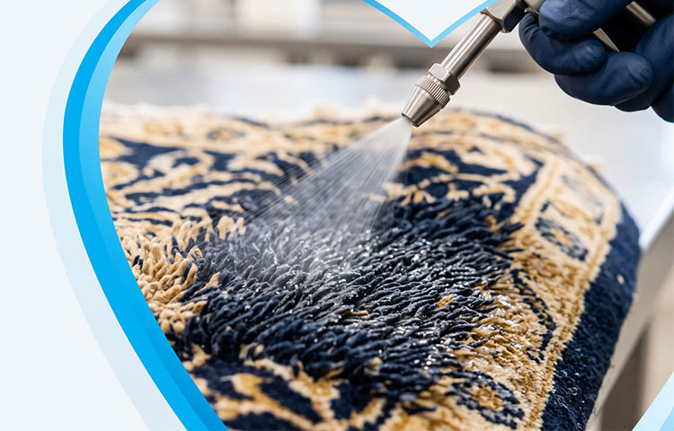 Wet carpet cleaning services Toronto