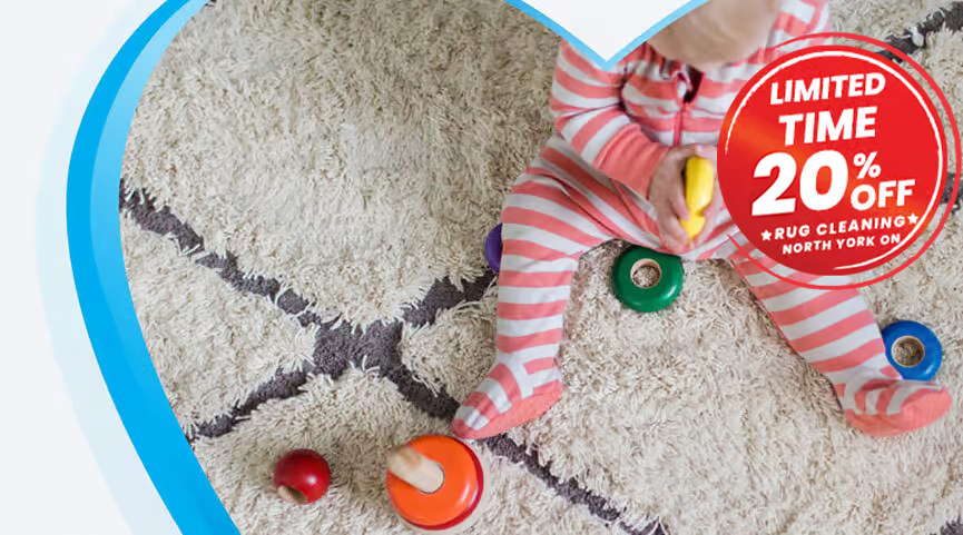 Carpet Cleaners Near Me