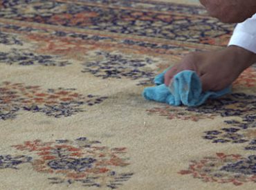 area rug enzyme treatment toronto east area rug enzyme treatment toronto east