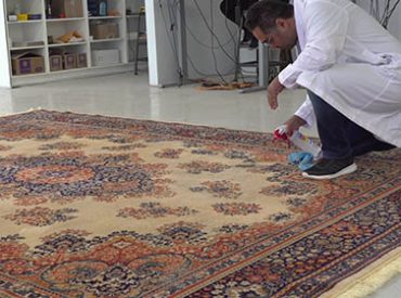 area rug scotchgard toronto east area rug scotchgard toronto east