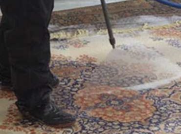 toronto area-rug-disinfectant Toronto Area Rug Disinfectant