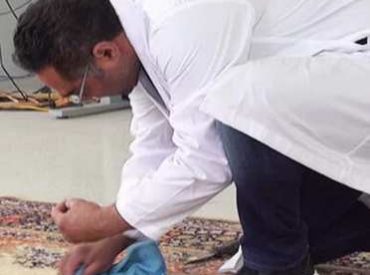 Toronto Area Rug Enzyme Treatment Toronto Area Rug Enzyme Treatment