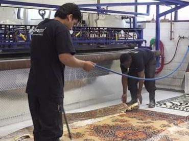 toronto area-rug-stain-removal Toronto Area Rug Stain Removal